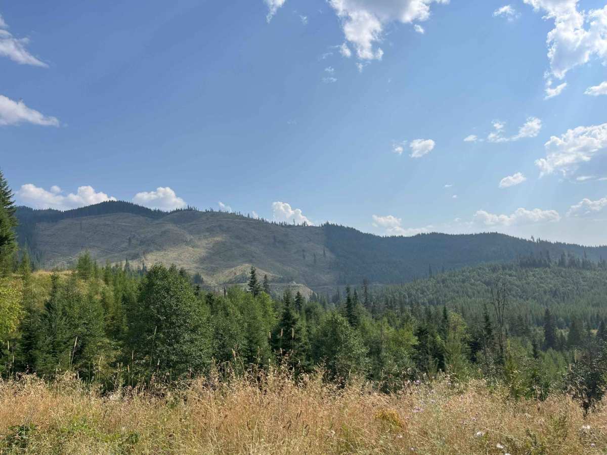 Little Meadow Creek Road photo 4
