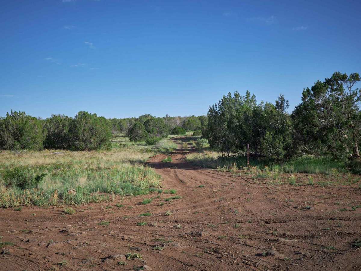 Prairie Blast / FR 27 photo 5