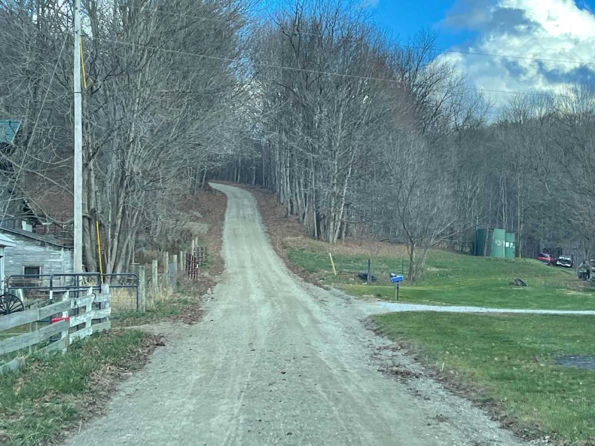 Amish Lumber Mills photo 3