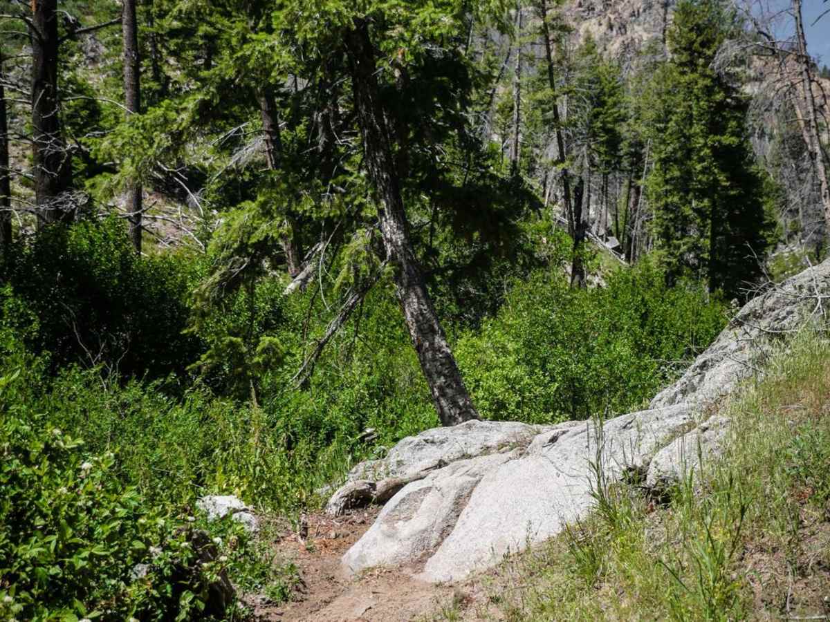 Deer Creek photo 3