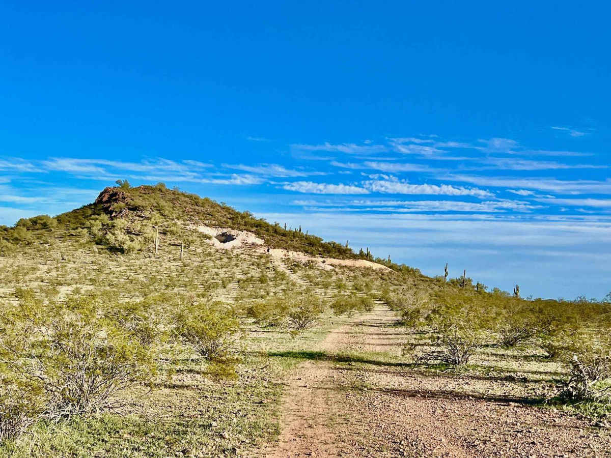 Grass Mine Trail trail photo