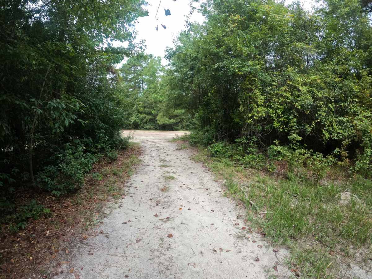 Trey's Trail photo 5