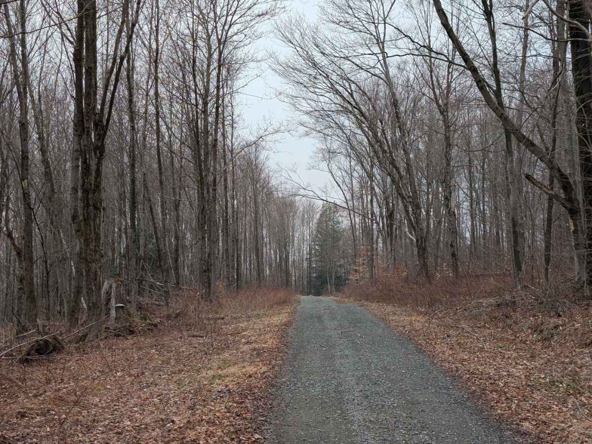 Carpenter Hill Road photo 3
