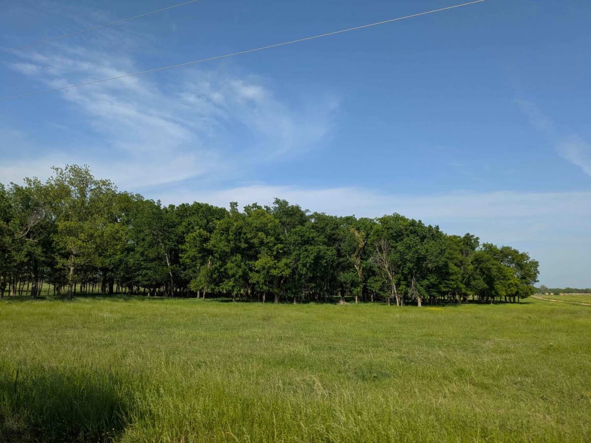 East 320 photo 5