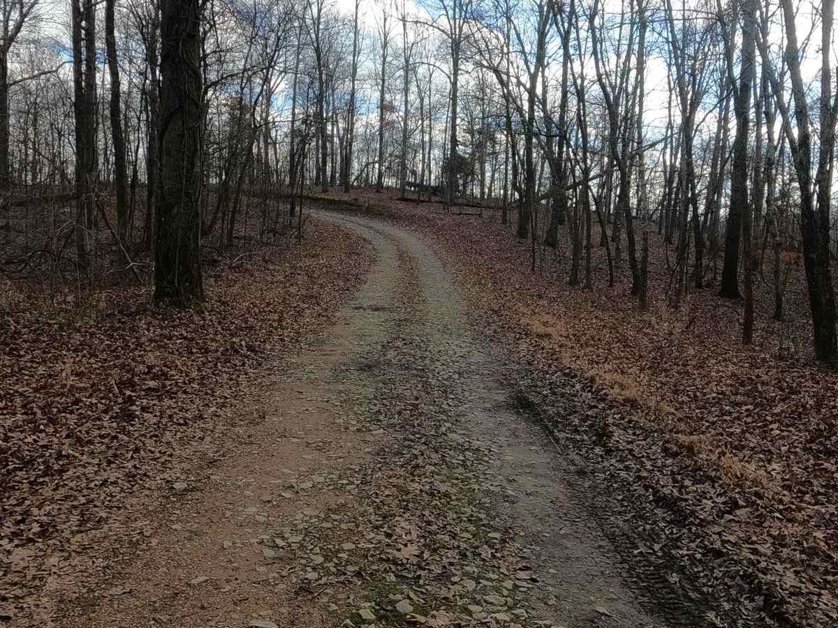 Bald Knob Road - FS 152 photo 4