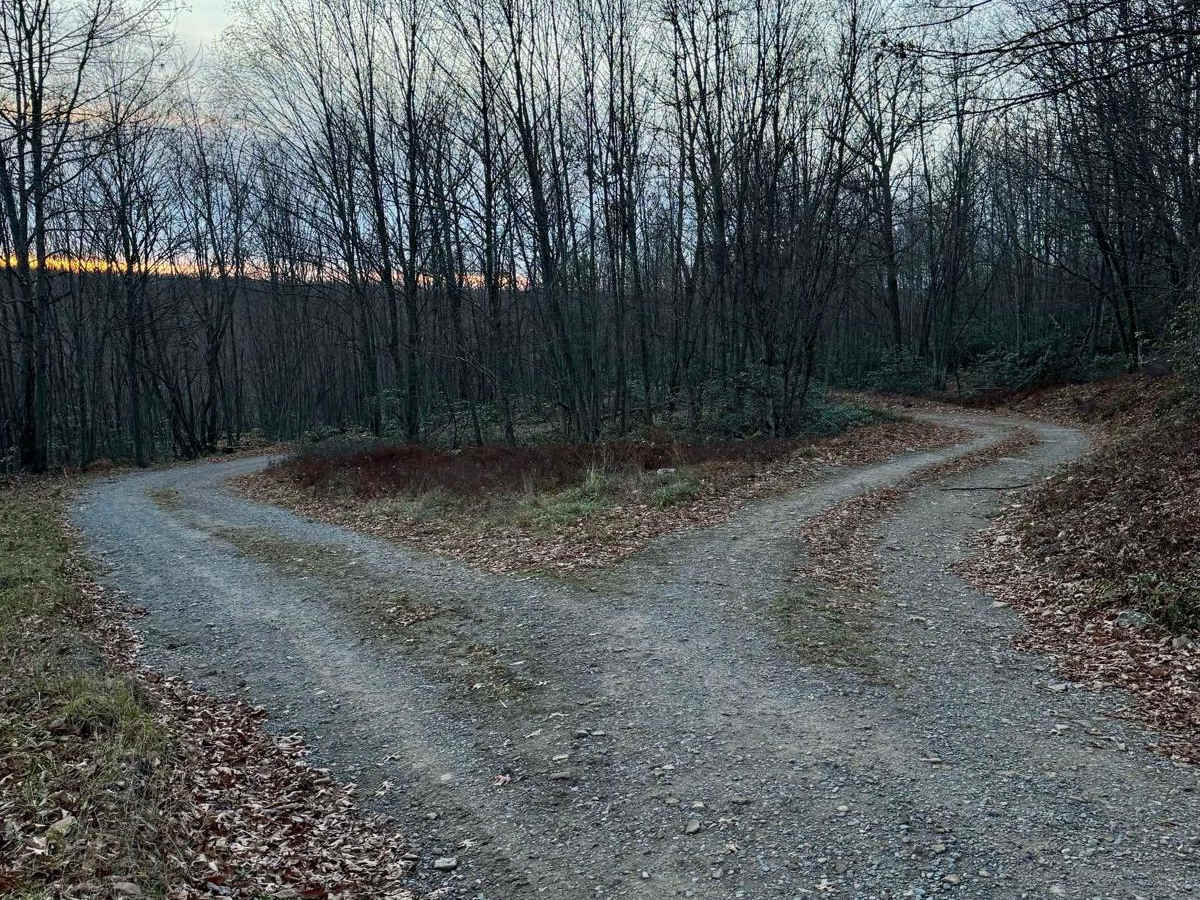 Jews Run Road photo 4