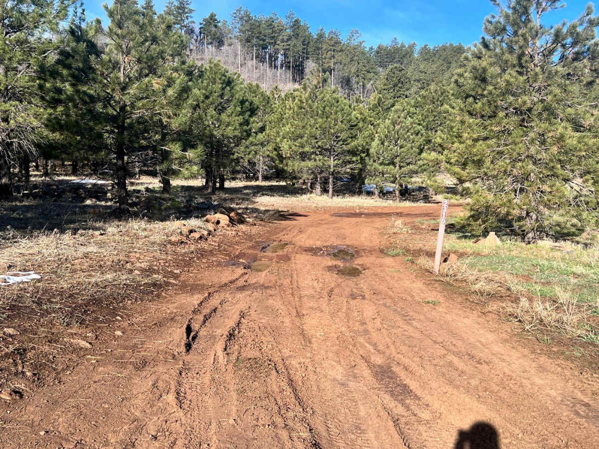 FR 231D trail photo