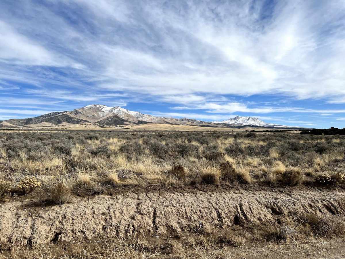 Ericson Pass Road trail photo
