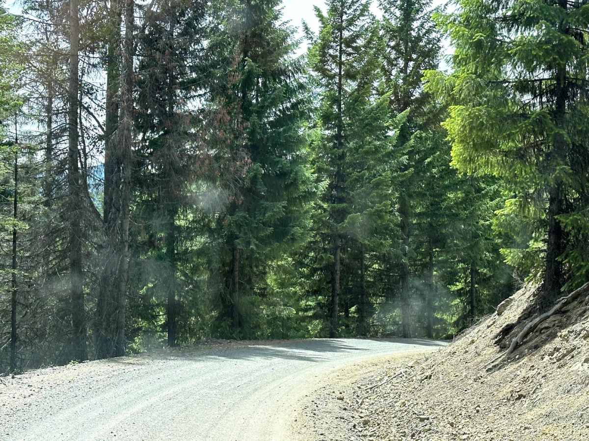 Quartz Creek Road photo 4