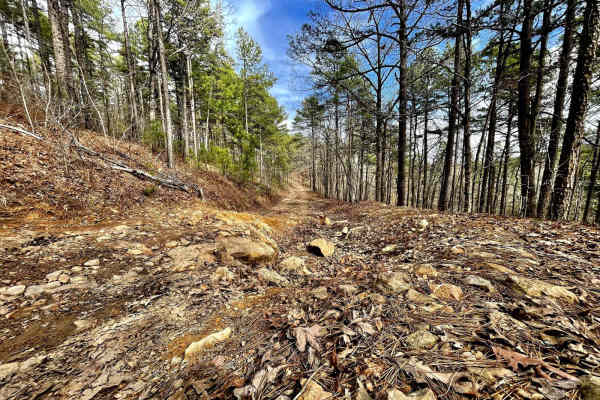 Muse Mountain Road