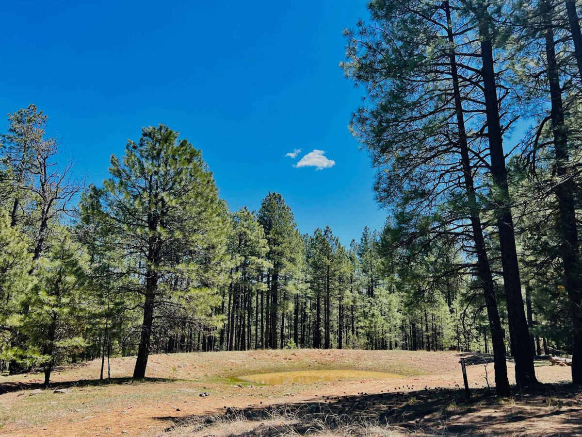 FR-9353F trail photo