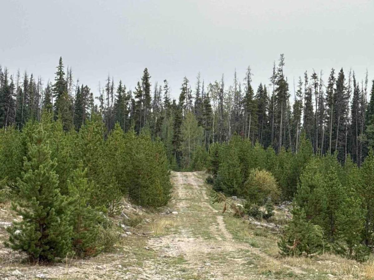 Rat Lake Road photo 2