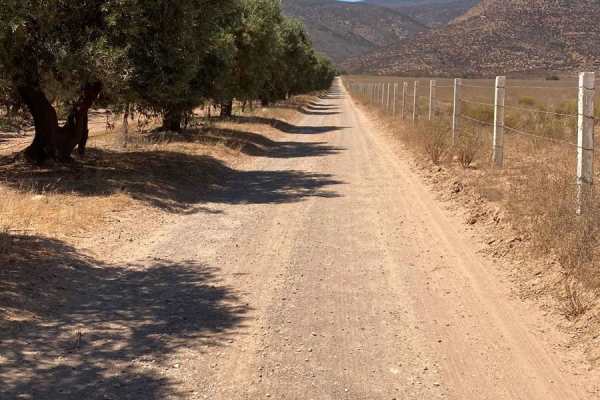 South of Cerro Blanco