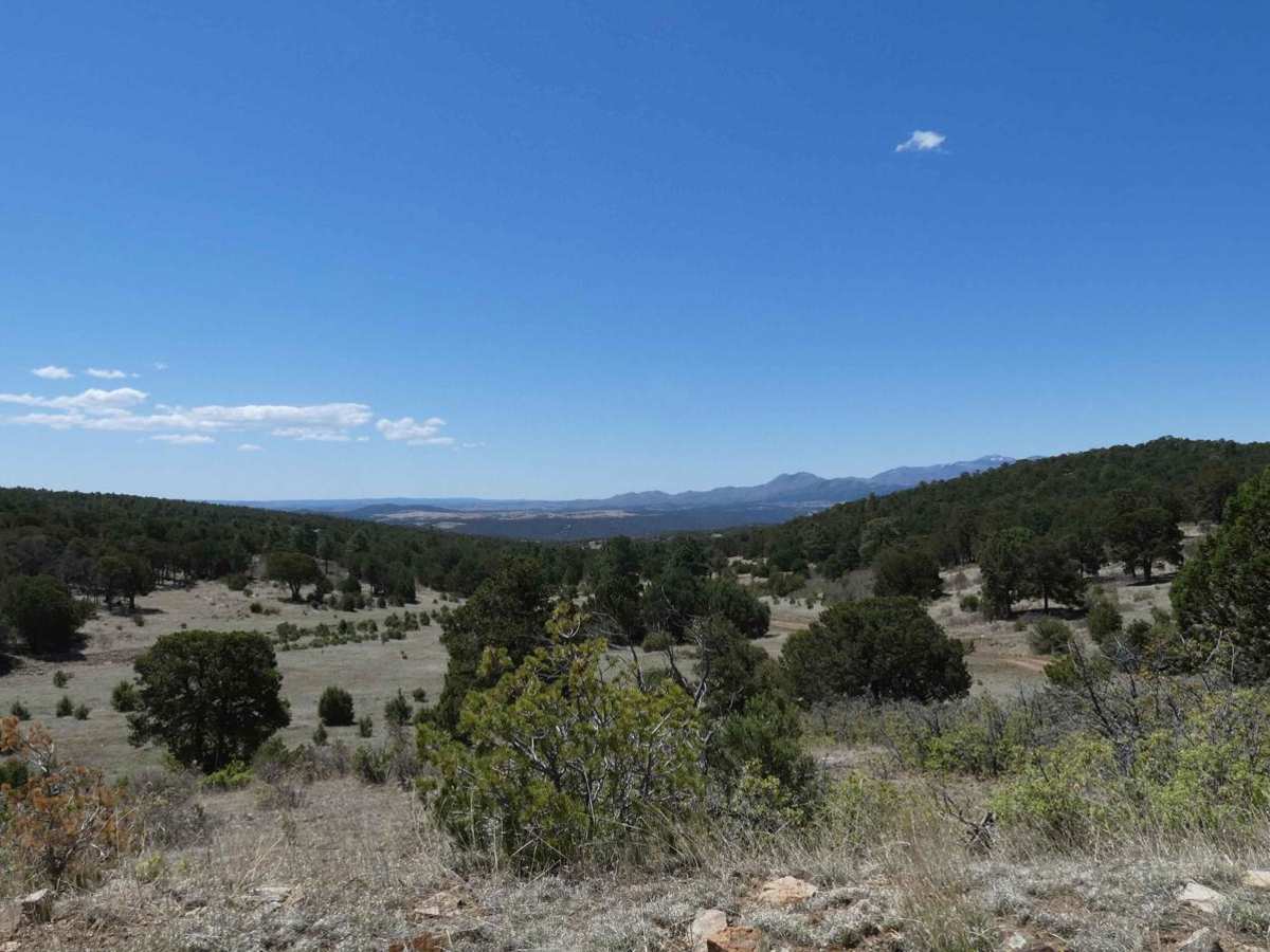 Indian Divide photo 6