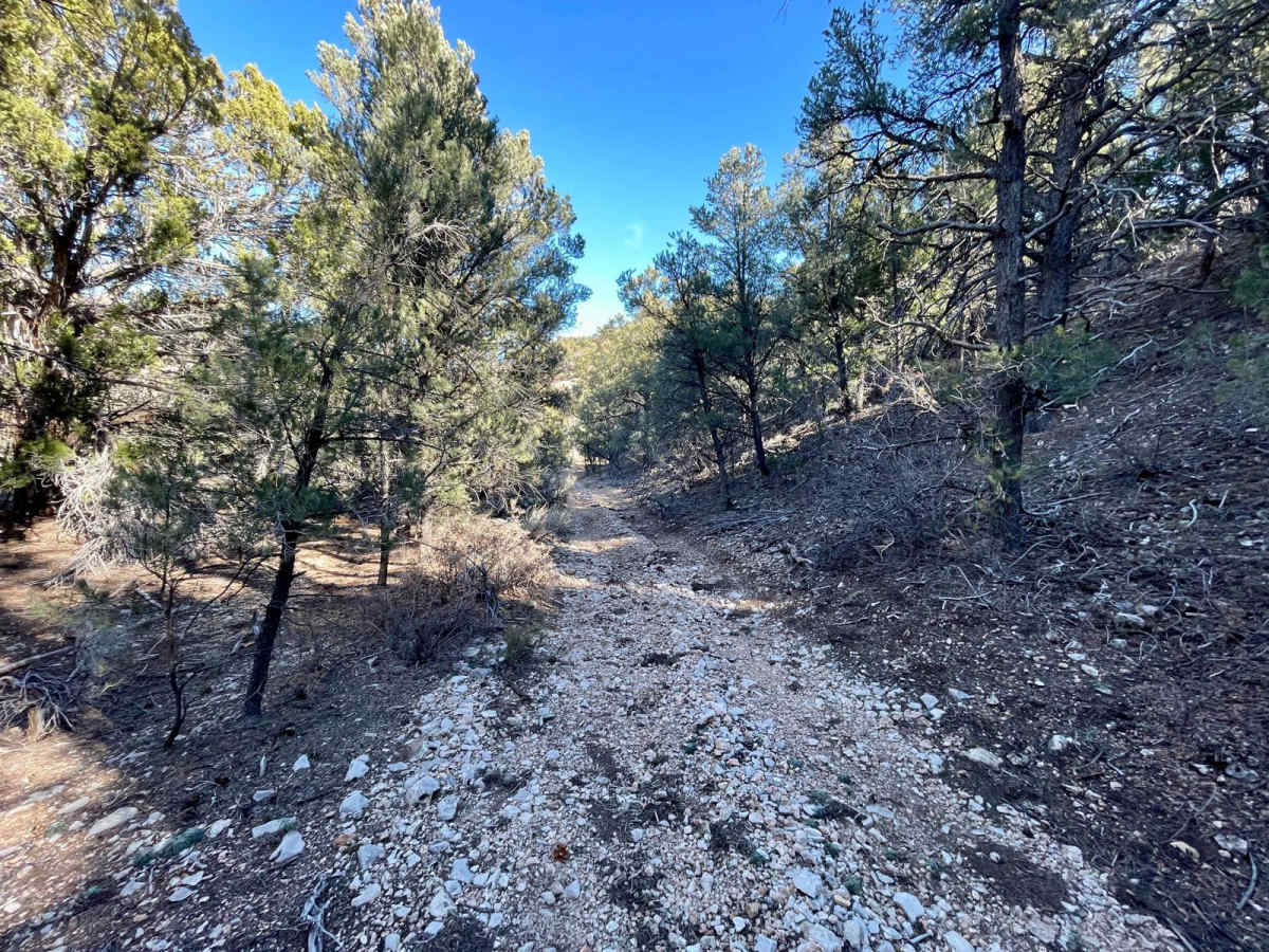 1071K Last Chance Lookout photo 4