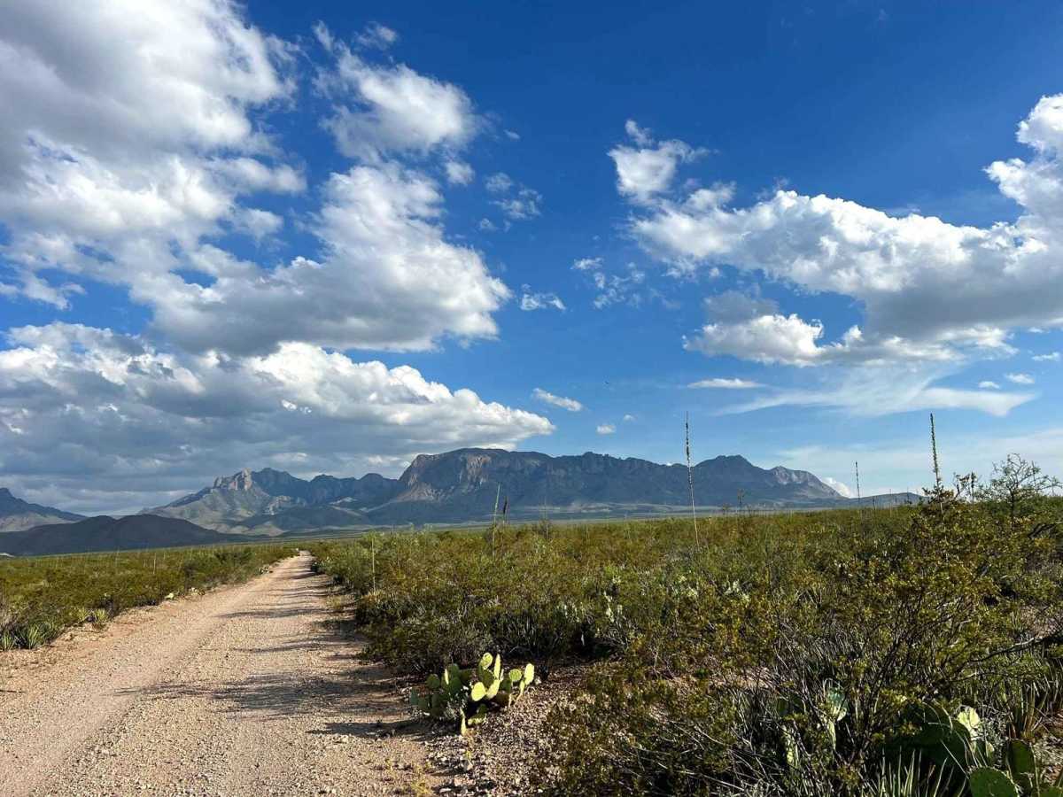 Paint Gap Road photo 5