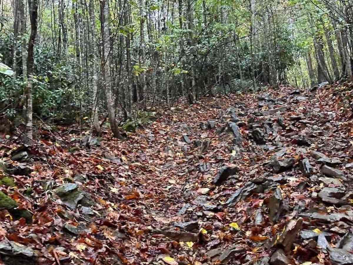 59 Blue trail photo