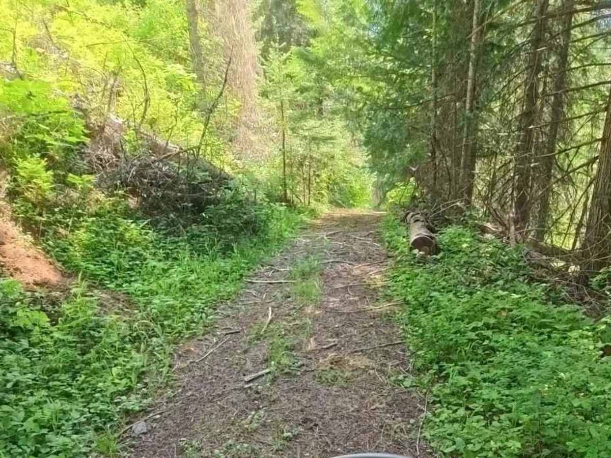 Coon Creek Trail (FDR 3300) photo 5