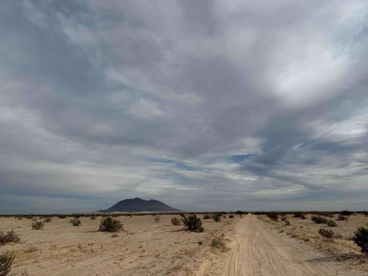 Mexicali 1 photo 5