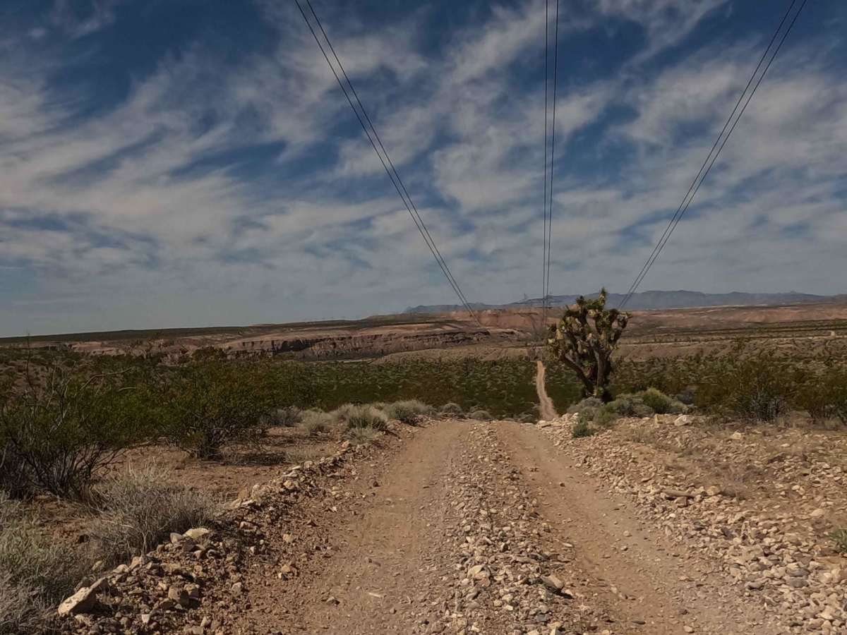 Powerline Road photo 5
