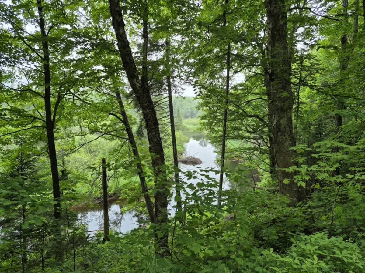 Fly Creek Road photo 5