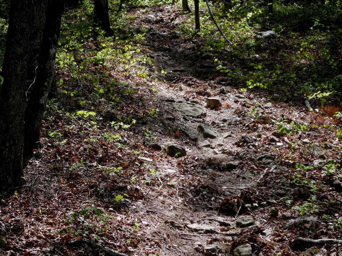 Brock 22 photo 3