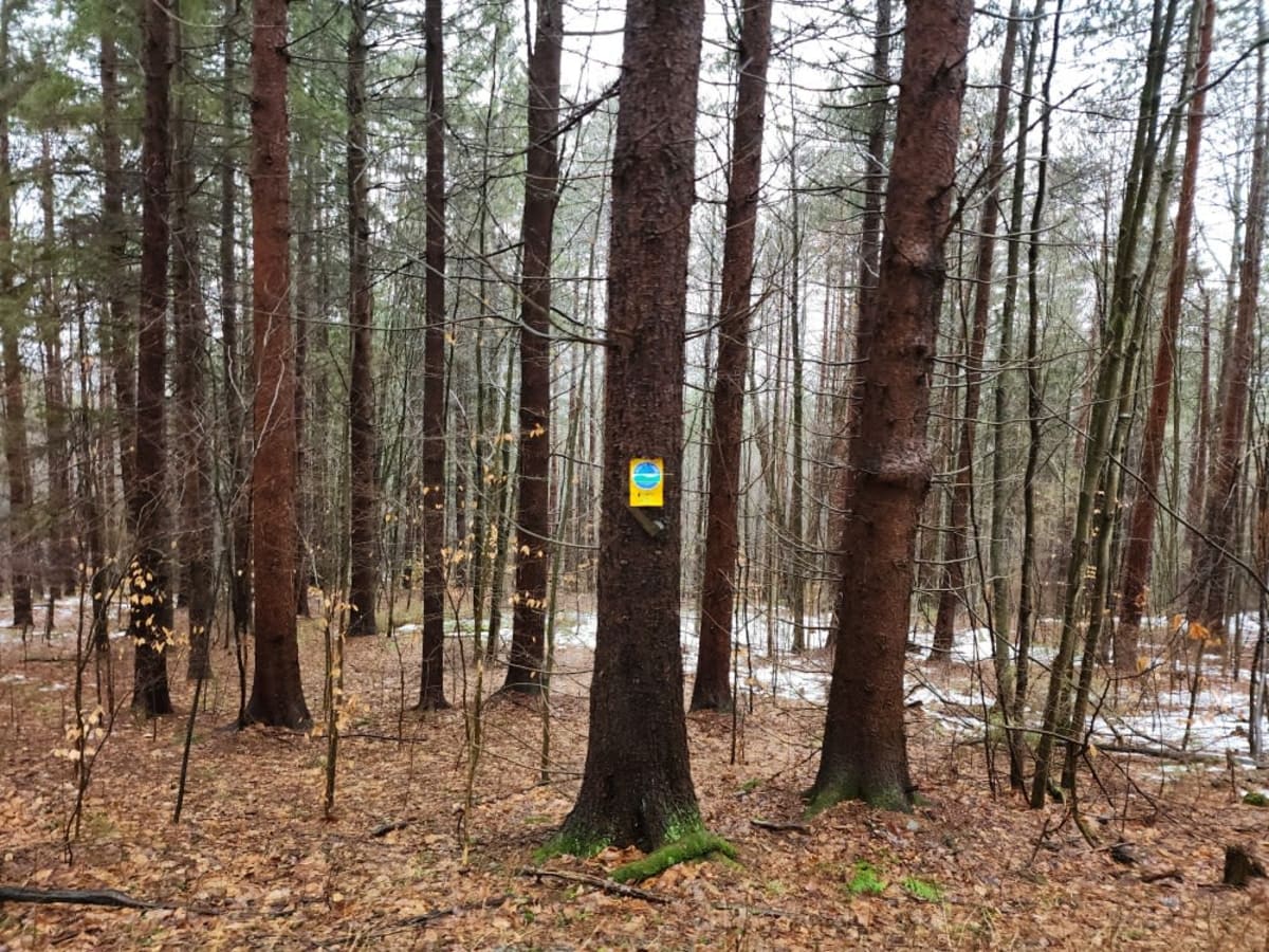 Snyder Hill PFAR photo 2