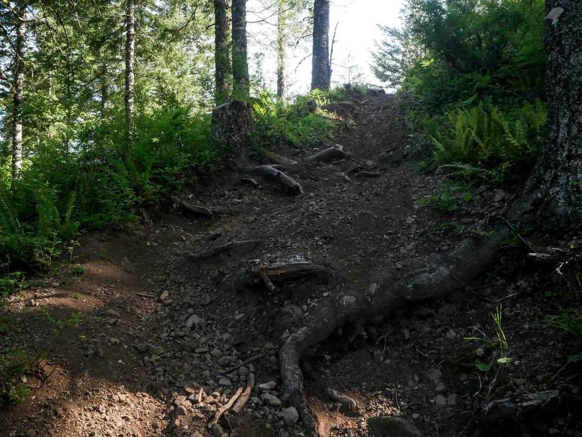 #41C trail photo