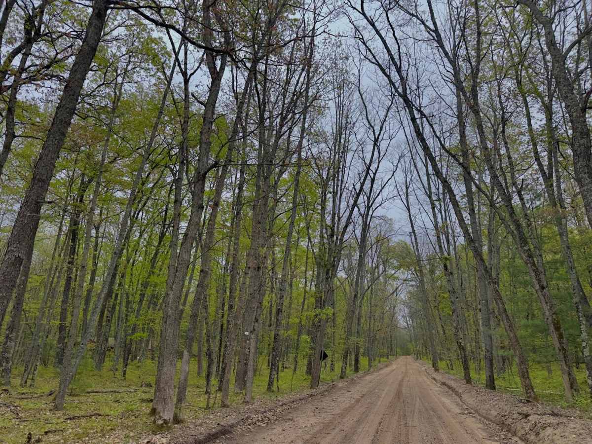 8 Mile Road trail photo