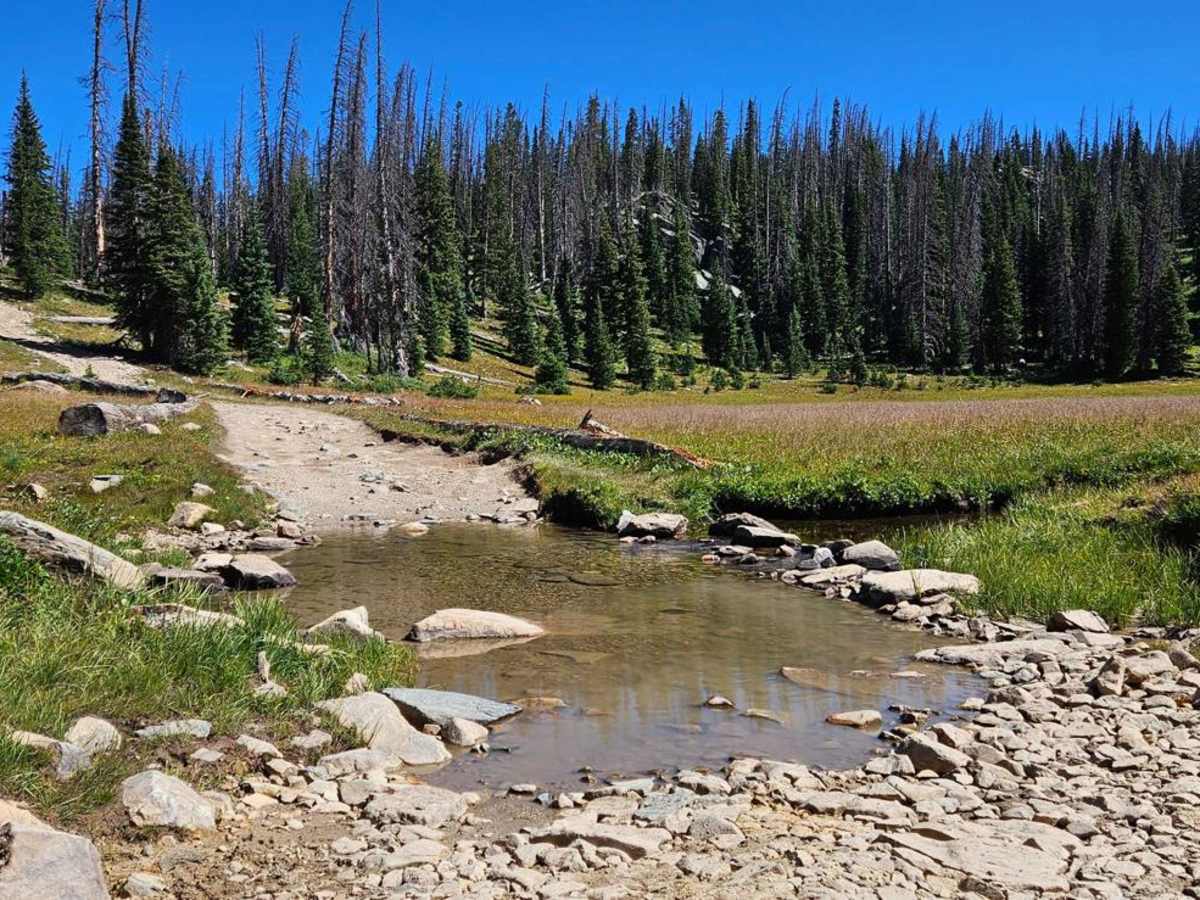 Cascade North Twin photo 3