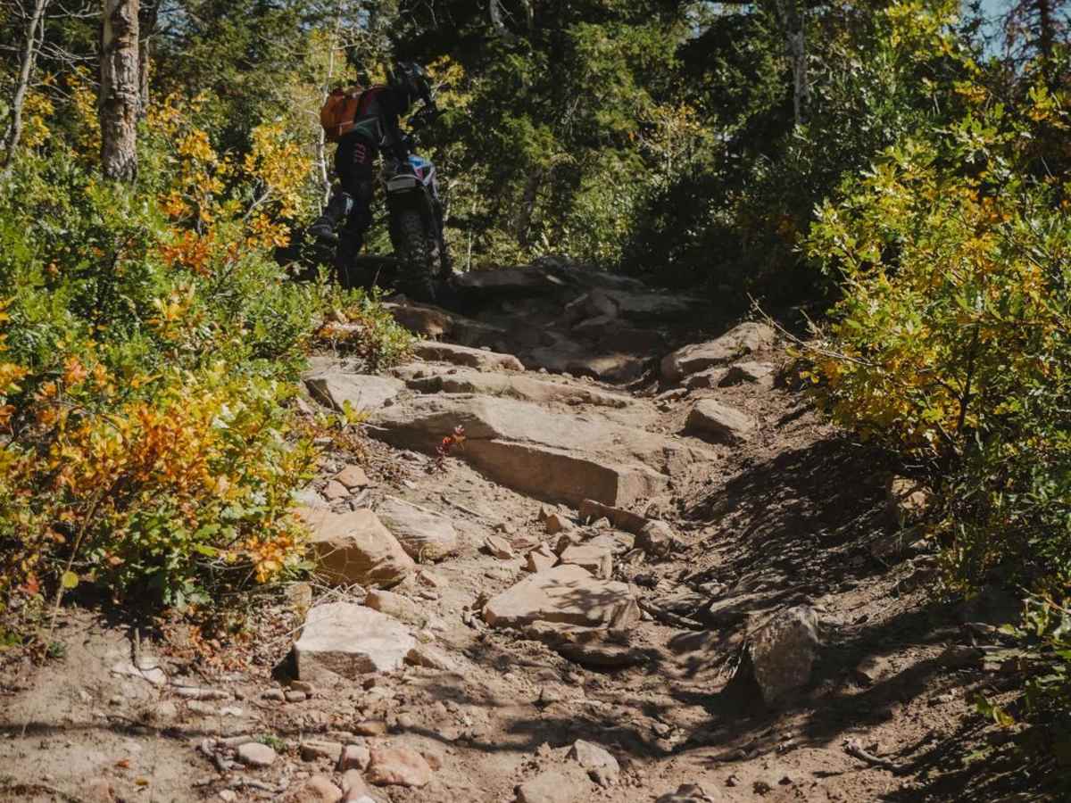 Lone Pine Trail photo 2