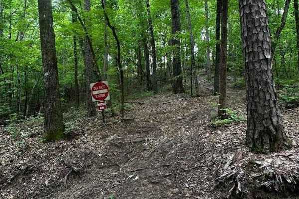Trail 15