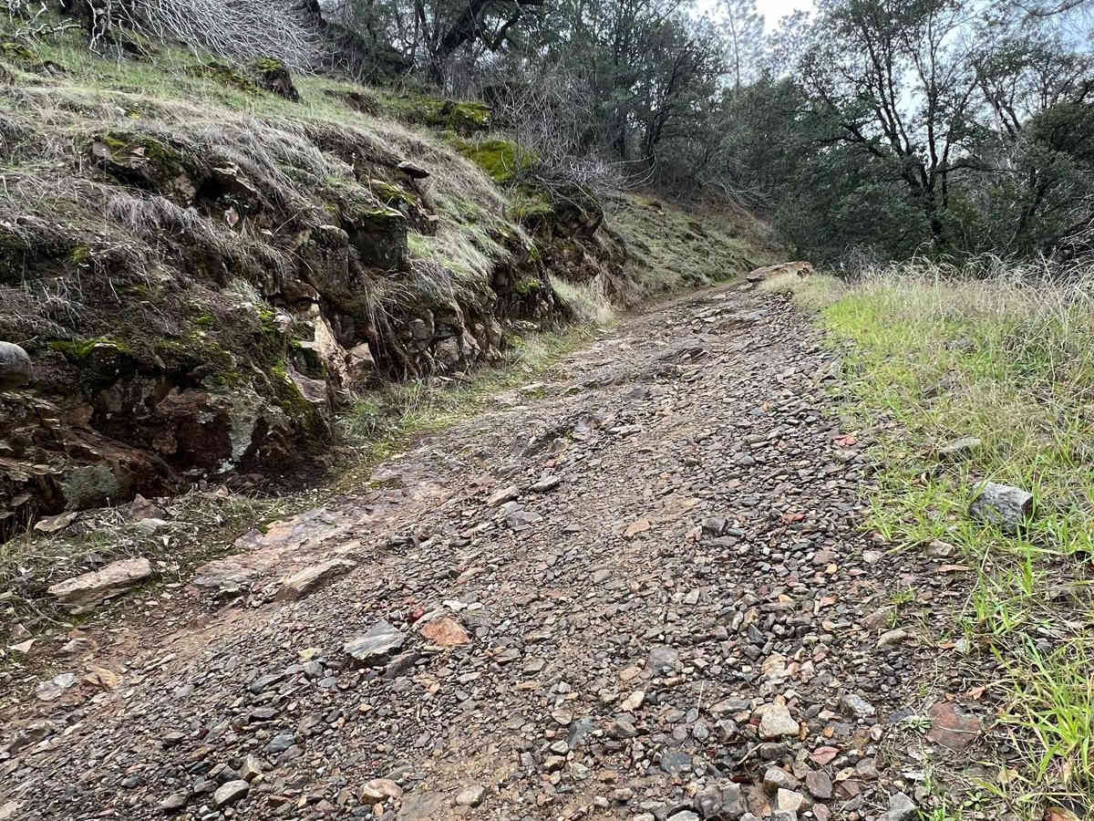 Forebay to American Camp trail photo