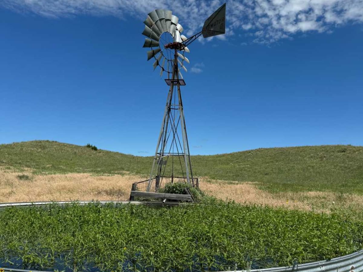 Sandhills Mills (NFR 261) trail photo
