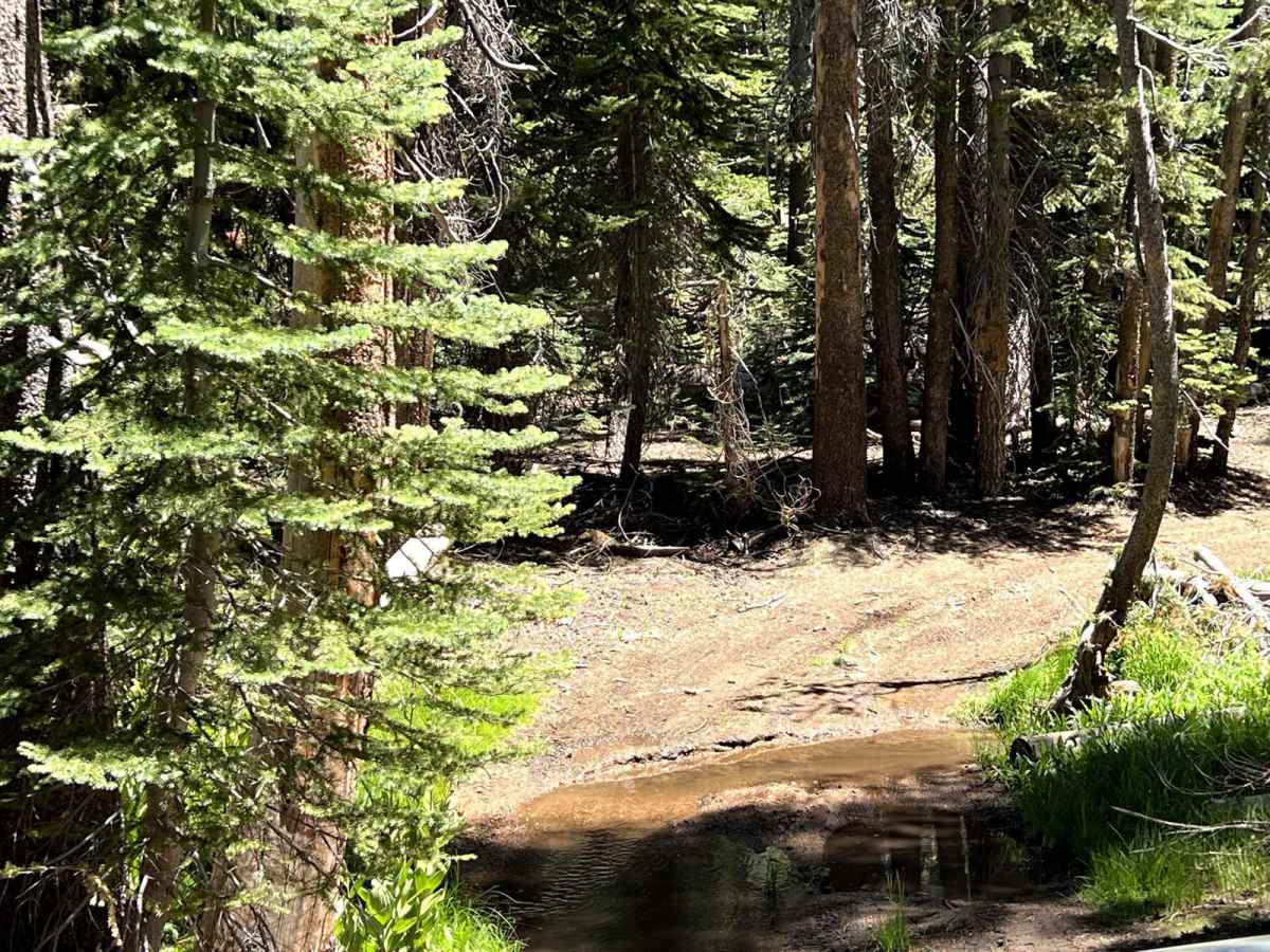 Old Sherman Pass 4x4 Jeep Trail - Continued photo 4