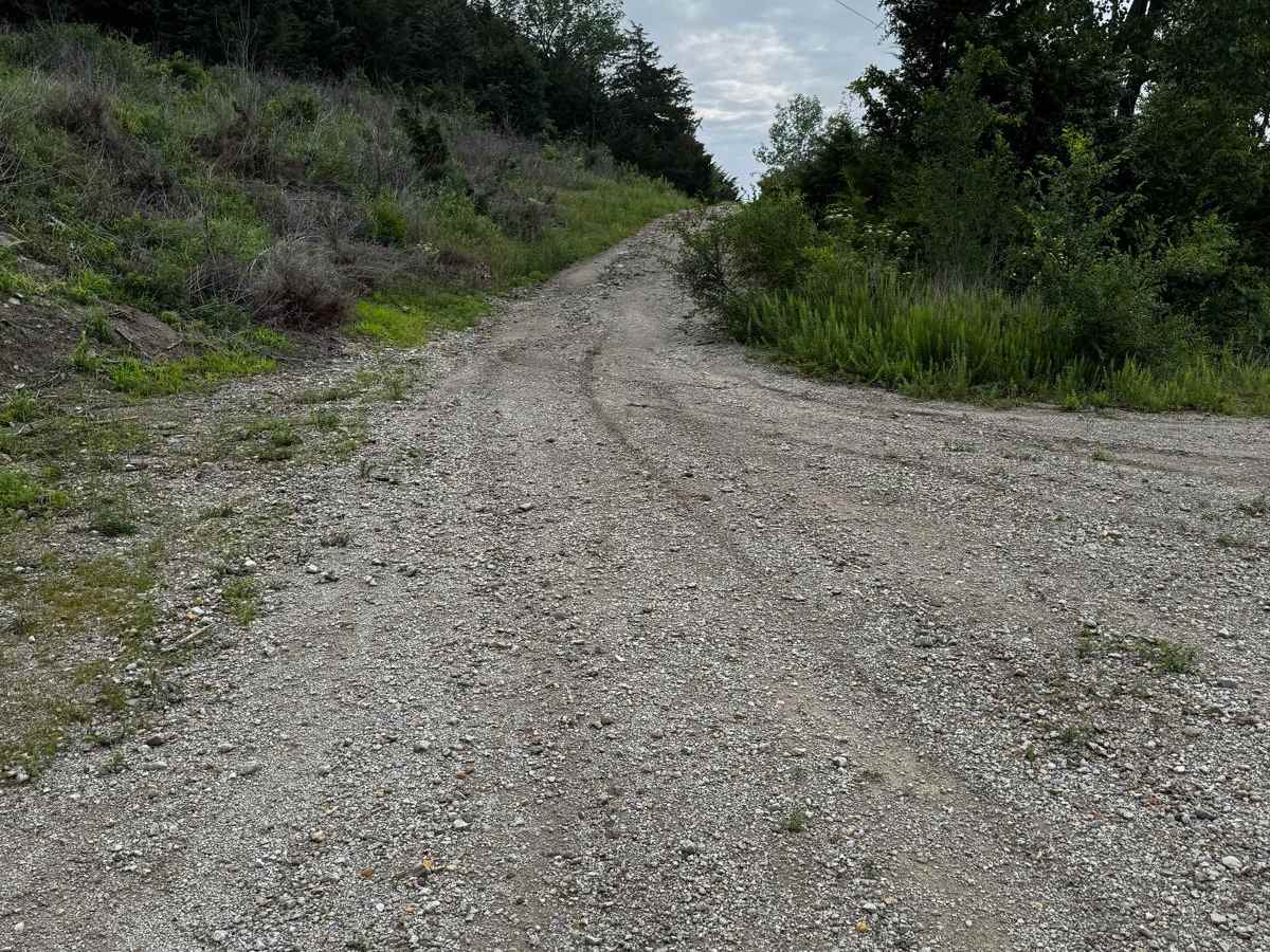 Green 165 trail photo