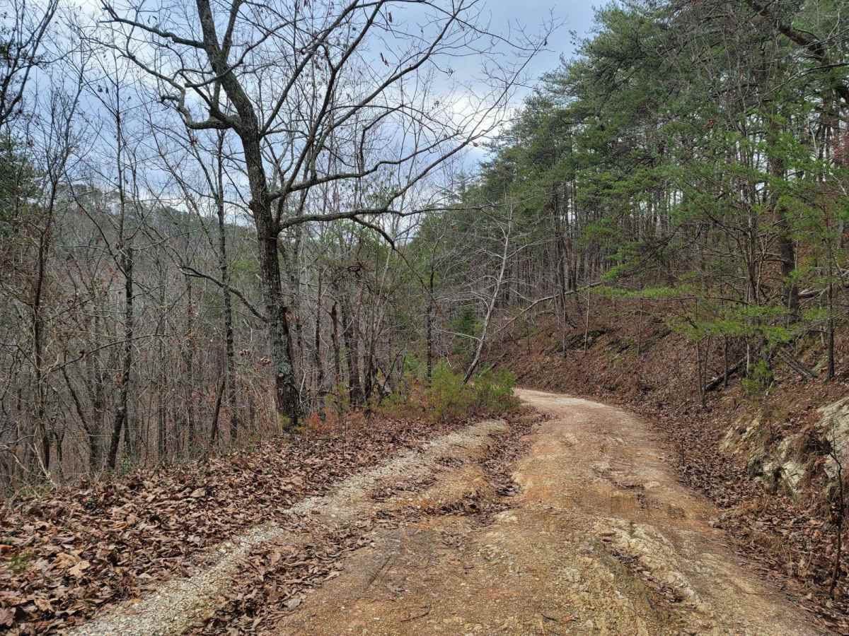 Kings Gap Mountain Road photo 5