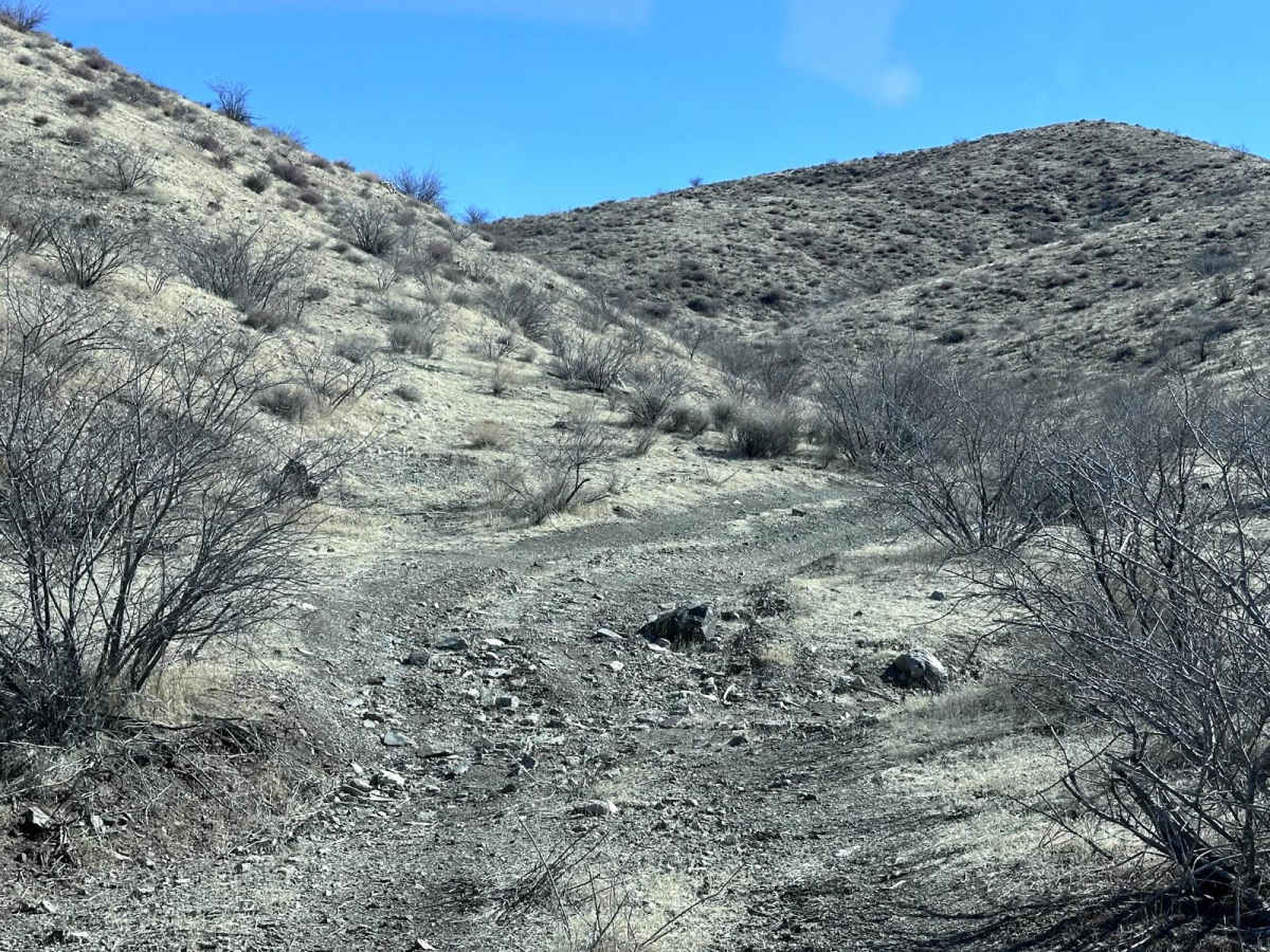Middle Water Spring Trail photo 5