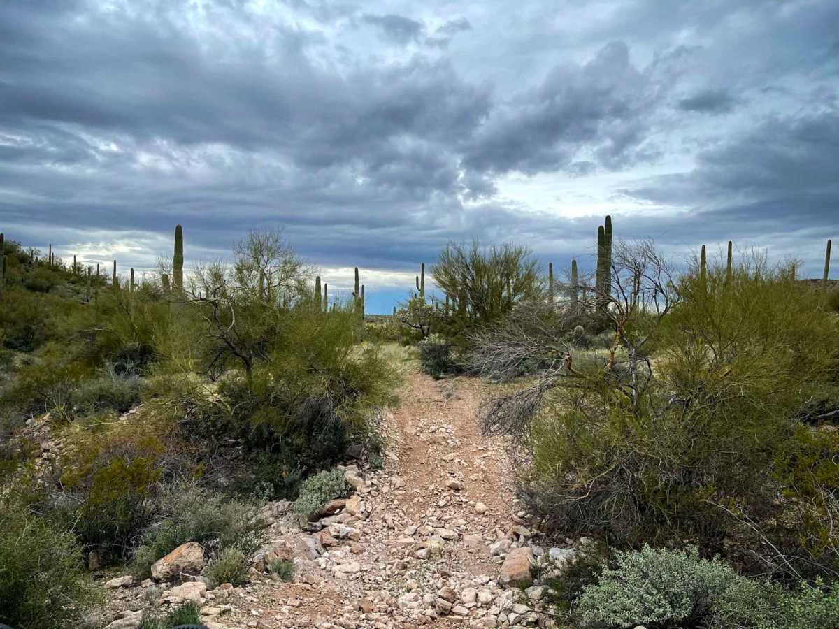 Jackrabbit Trail photo 6