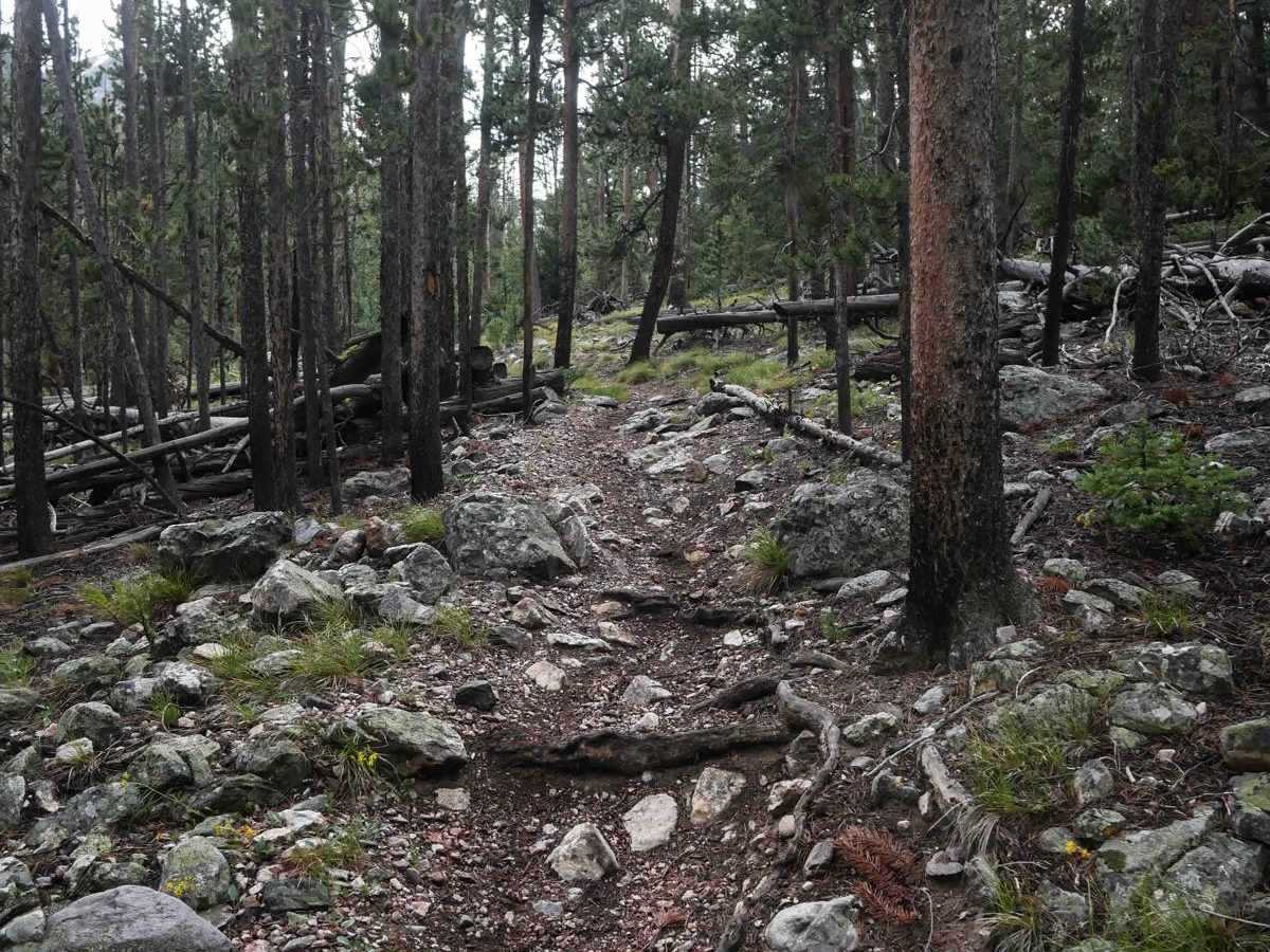 Big Timber Creek photo 3