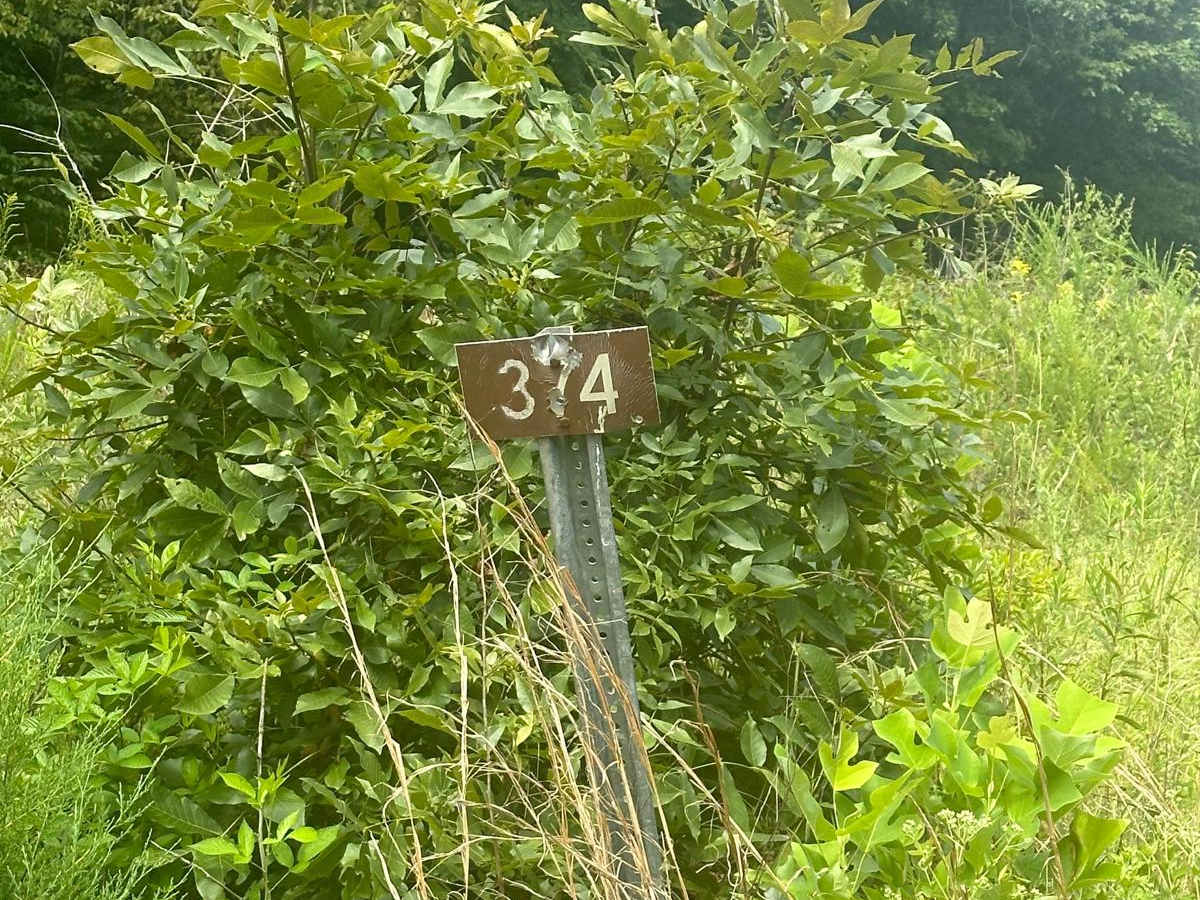 FS - 374 trail photo