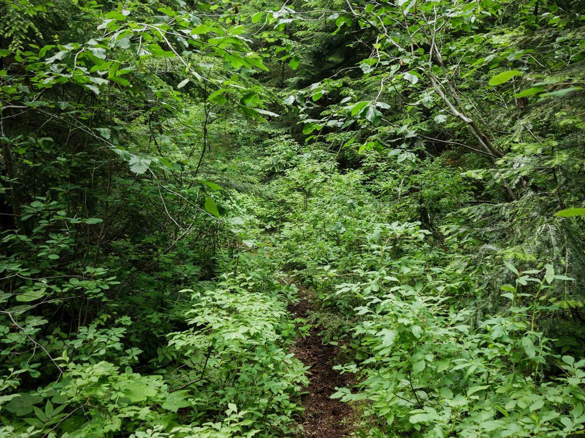 Mowat Creek photo 4