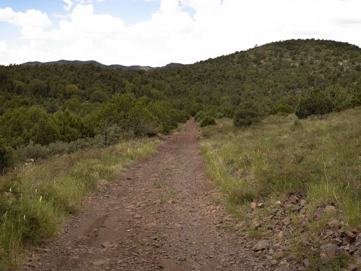 Sheridan Mountain - FS 705 photo 6