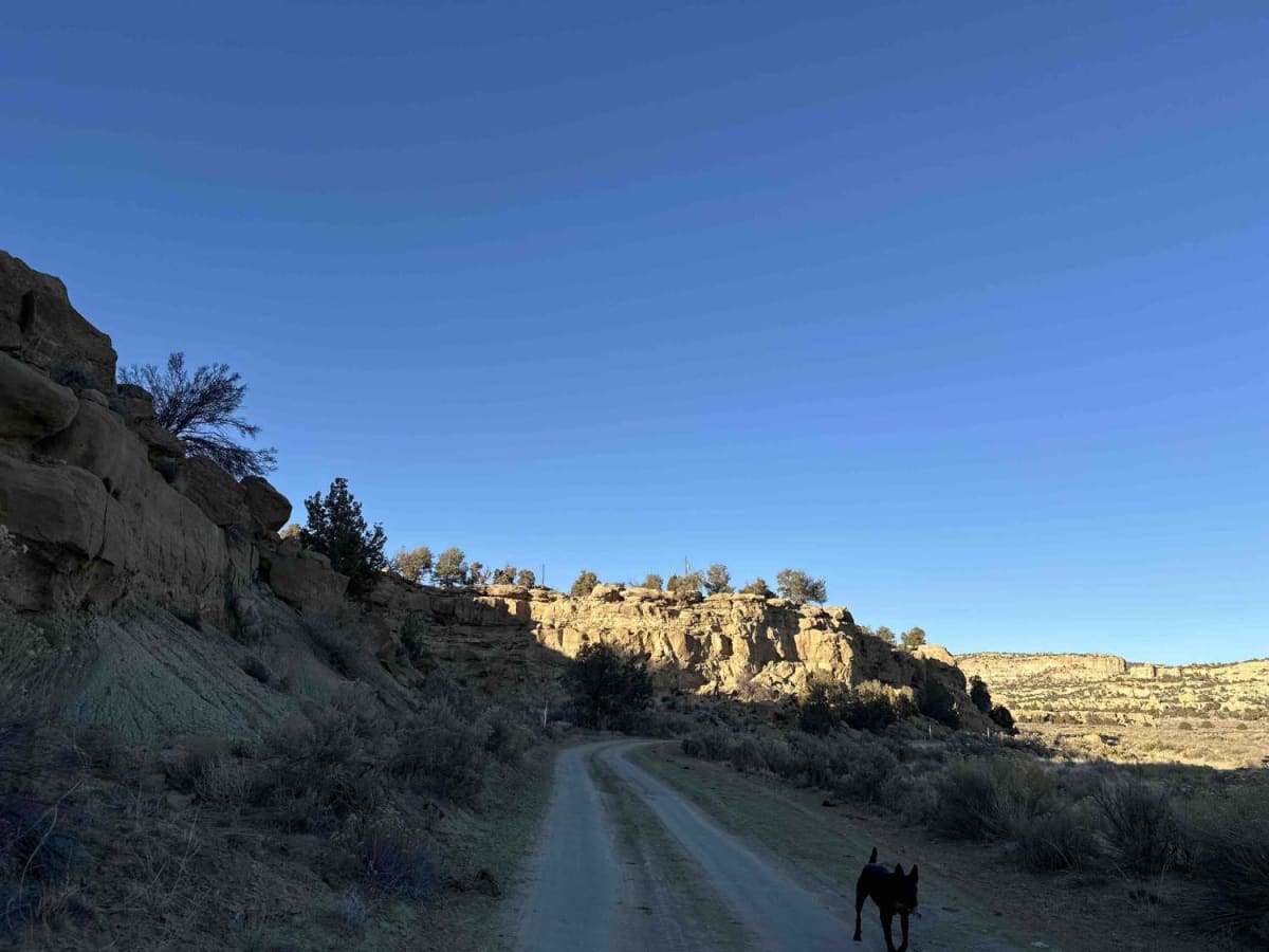 Cutter Dam photo 3