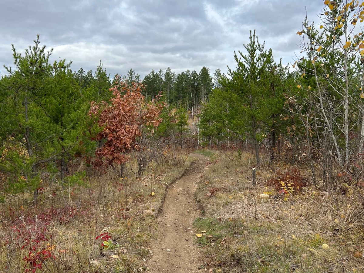 Huntersville Southwestern Trail photo 6