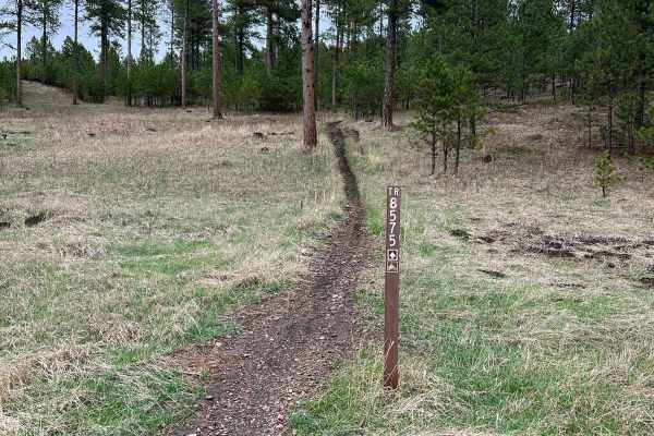 Crystal Mount Single Track