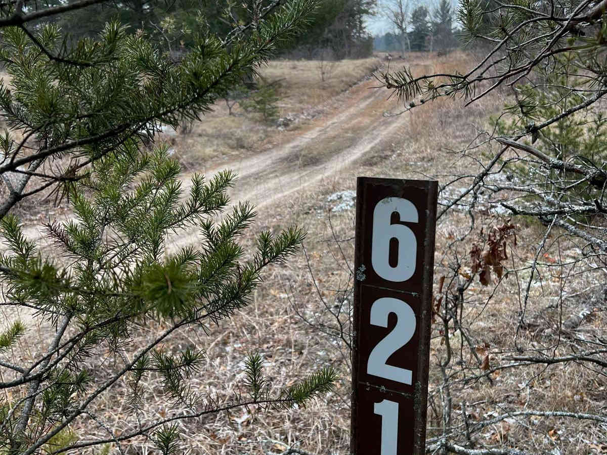 NFS 6218 trail photo