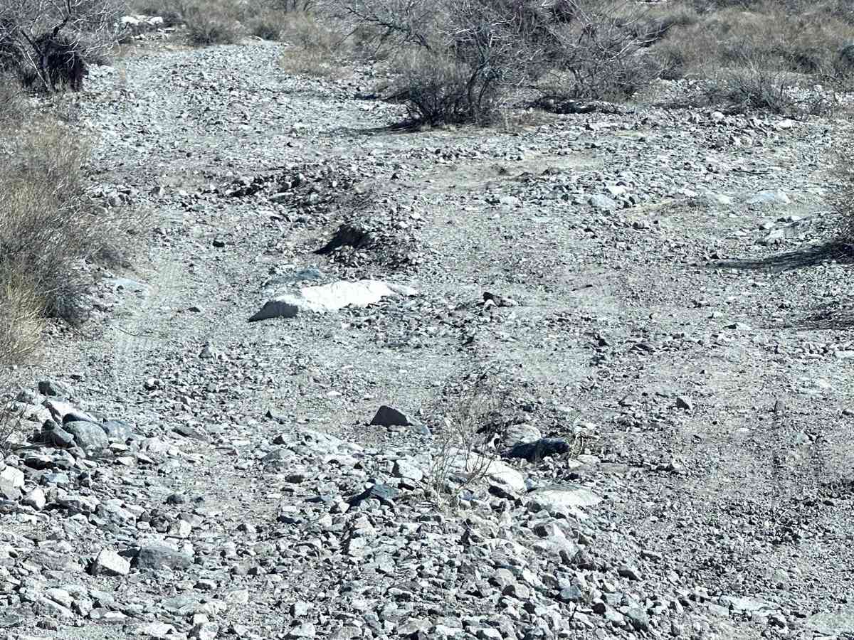 Horse Thief Canyon Road photo 5