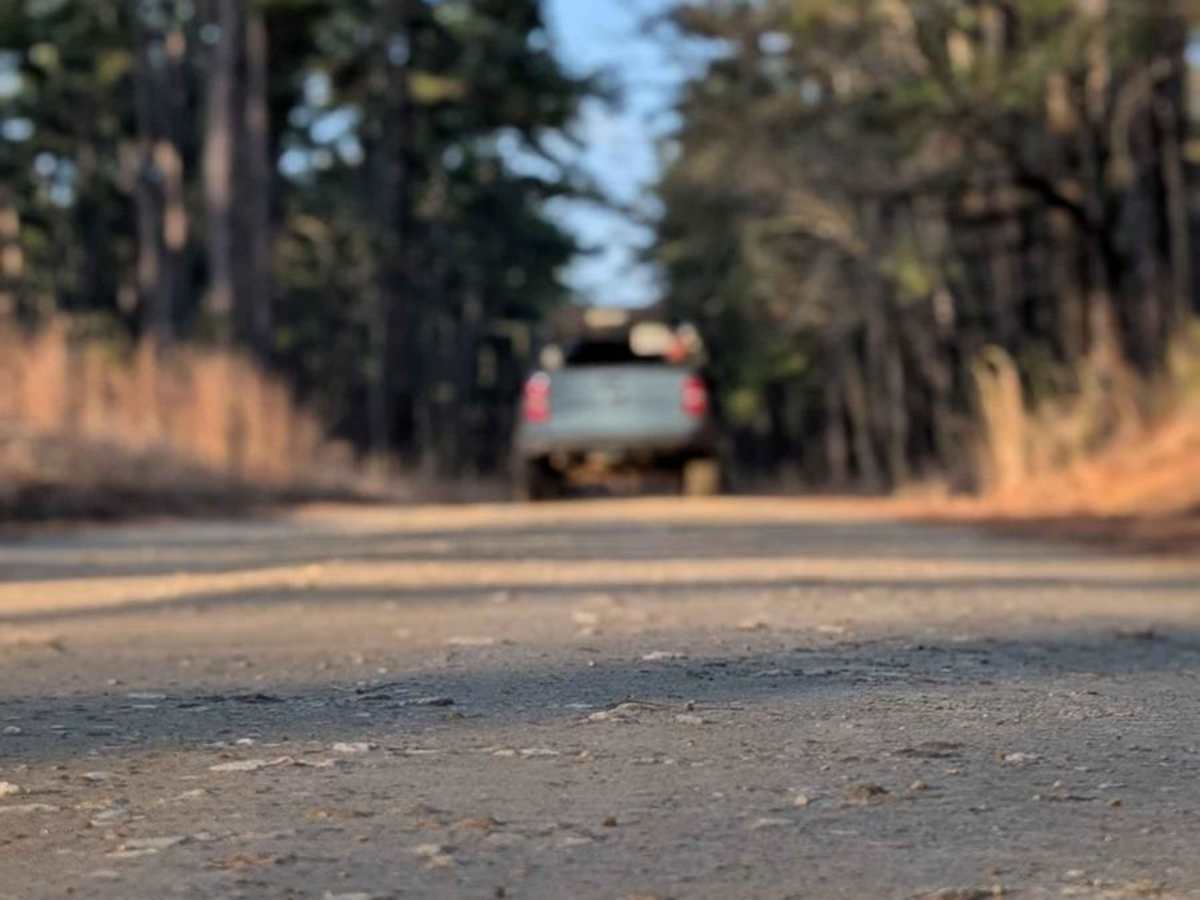 Mud Creek Road photo 3