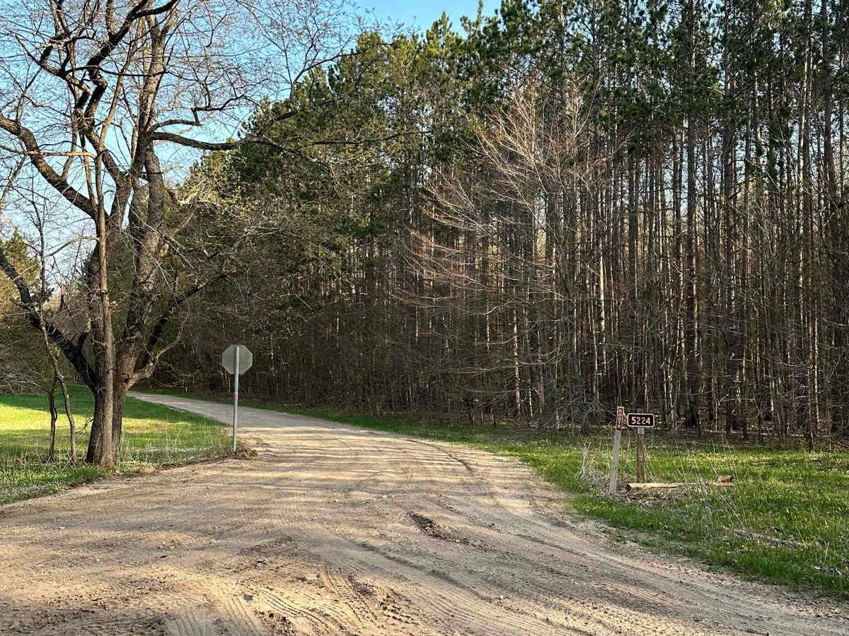 Cadillac Area ORV/OHV Scenic Ride - Part 6 trail photo